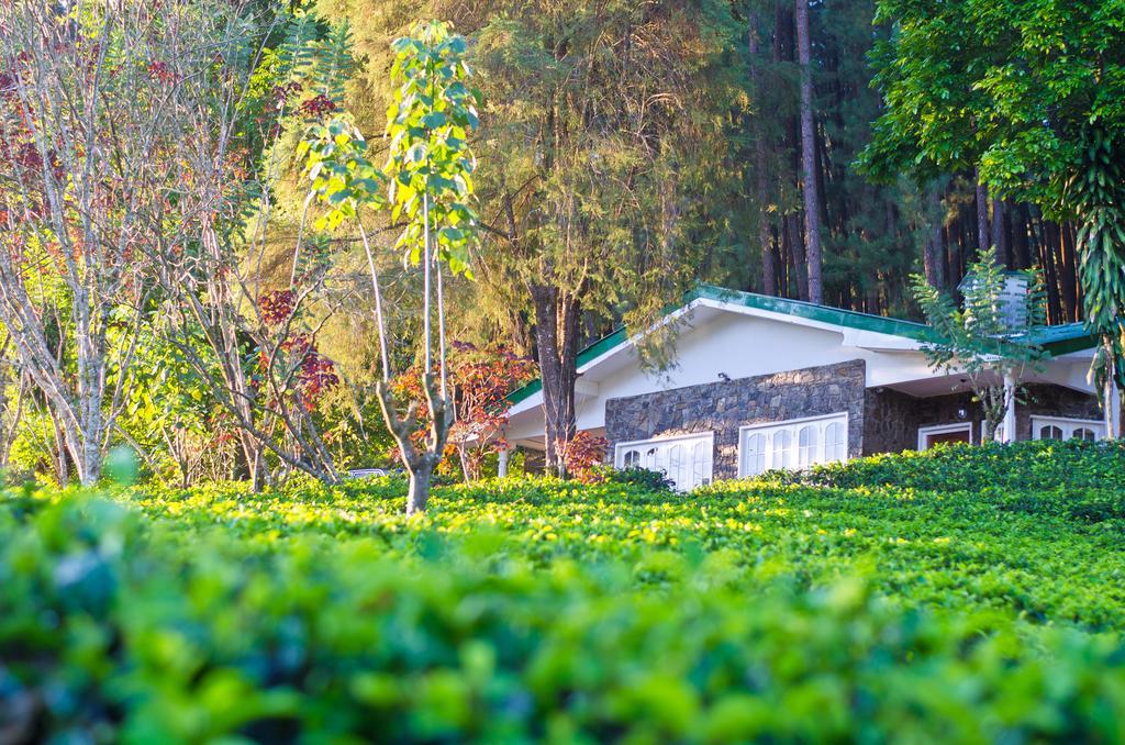 Greendale Holiday Bungalow Villa Watawala Exterior foto